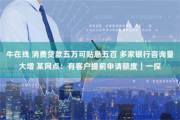 牛在线 消费贷款五万可贴息五百 多家银行咨询量大增 某网点:有客户提前申请额度|一探