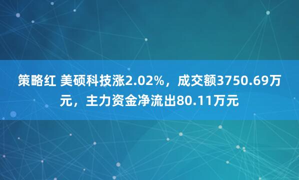 策略红 美硕科技涨2.02%，成交额3750.69万元，主力资金净流出80.11万元
